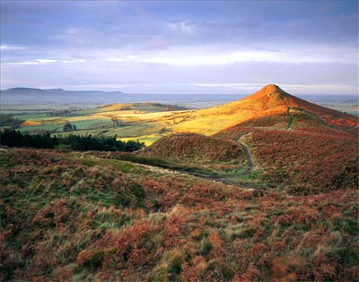 Quy-tắc-một-phần-ba