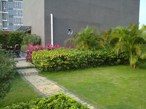 Chụp-ảnh-thử-bằng-Nokia-N86-8MP