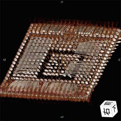 Khám-phá-'nội-thất'-vi-xử-lý-Digic-4 Khám-phá-'nội-thất'-vi-xử-lý-Digic-4