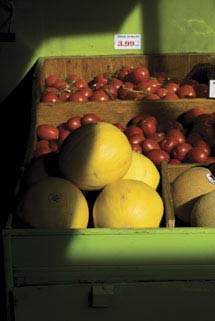 Chế-ngự-sự-phơi-sáng-của-ảnh