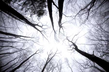 Kỹ-thuật-chụp-ảnh-ngược-sáng Kỹ-thuật-chụp-ảnh-ngược-sáng