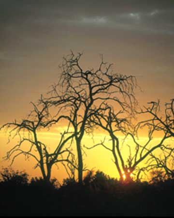 Kỹ-thuật-chụp-ảnh-ngược-sáng Kỹ-thuật-chụp-ảnh-ngược-sáng