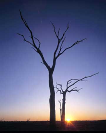 Kỹ-thuật-chụp-ảnh-ngược-sáng Kỹ-thuật-chụp-ảnh-ngược-sáng