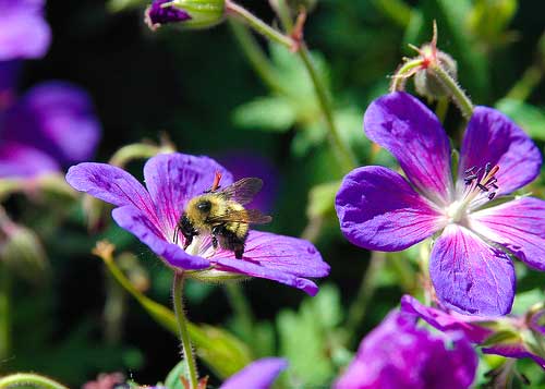 Ánh-sáng-và-màu-sắc-trong-nhiếp-ảnh