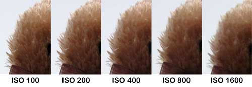 Thử-máy-ảnh-Canon-cảm-ứng-đầu-tiên