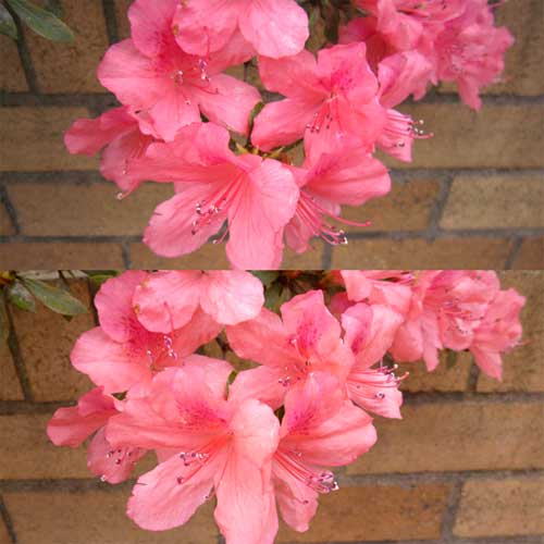 Thử-máy-ảnh-Canon-cảm-ứng-đầu-tiên