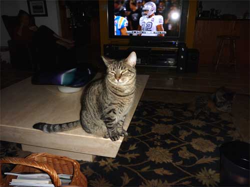 Chụp-thử-bằng-Panasonic-Lumix-FP8