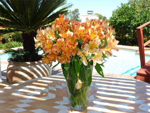 Chụp-thử-bằng-Panasonic-Lumix-FP8