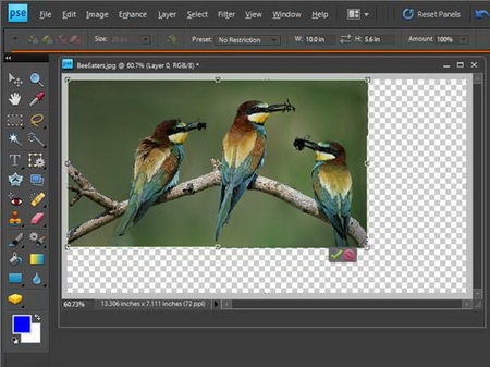 Adobe-Systems-trình-làng-Photoshop-Elements-8