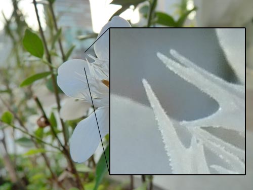 Panasonic-FZ35-siêu-zoom-và-đa-năng