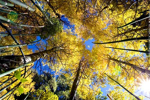 Chụp-hình-thu-thế-nào-cho-đẹp Chụp-hình-thu-thế-nào-cho-đẹp