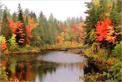 Chụp-hình-thu-thế-nào-cho-đẹp Chụp-hình-thu-thế-nào-cho-đẹp