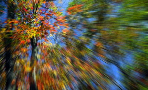 “Vẽ”-tranh-bằng-máy-ảnh “Vẽ”-tranh-bằng-máy-ảnh