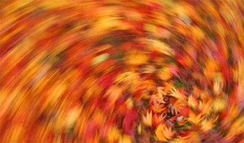 “Vẽ”-tranh-bằng-máy-ảnh “Vẽ”-tranh-bằng-máy-ảnh