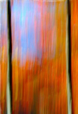 “Vẽ”-tranh-bằng-máy-ảnh “Vẽ”-tranh-bằng-máy-ảnh