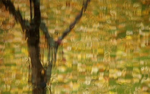 “Vẽ”-tranh-bằng-máy-ảnh “Vẽ”-tranh-bằng-máy-ảnh