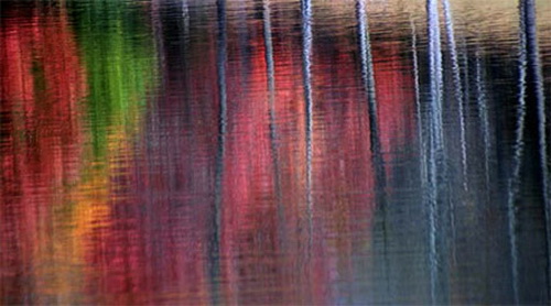 “Vẽ”-tranh-bằng-máy-ảnh “Vẽ”-tranh-bằng-máy-ảnh