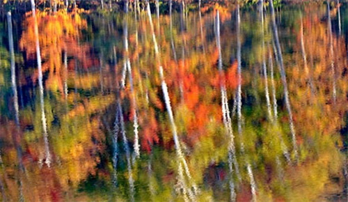 “Vẽ”-tranh-bằng-máy-ảnh “Vẽ”-tranh-bằng-máy-ảnh