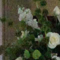 Canon-7D,-50D-và-5D-Mark-II-đọ-ảnh