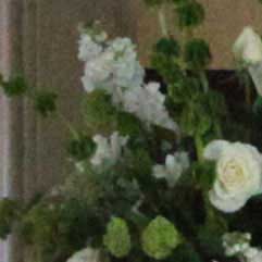 Canon-7D,-50D-và-5D-Mark-II-đọ-ảnh