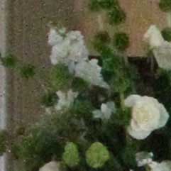 Canon-7D,-50D-và-5D-Mark-II-đọ-ảnh