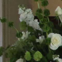 Canon-7D,-50D-và-5D-Mark-II-đọ-ảnh