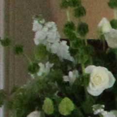 Canon-7D,-50D-và-5D-Mark-II-đọ-ảnh