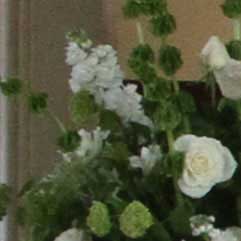 Canon-7D,-50D-và-5D-Mark-II-đọ-ảnh