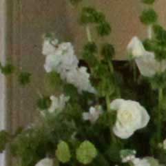 Canon-7D,-50D-và-5D-Mark-II-đọ-ảnh