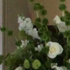 Canon-7D,-50D-và-5D-Mark-II-đọ-ảnh