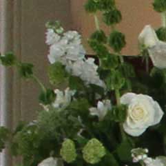 Canon-7D,-50D-và-5D-Mark-II-đọ-ảnh