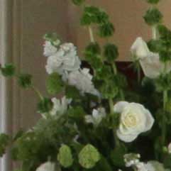 Canon-7D,-50D-và-5D-Mark-II-đọ-ảnh