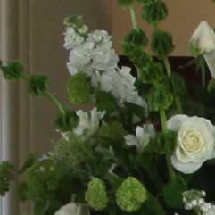 Canon-7D,-50D-và-5D-Mark-II-đọ-ảnh