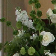 Canon-7D,-50D-và-5D-Mark-II-đọ-ảnh