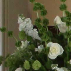 Canon-7D,-50D-và-5D-Mark-II-đọ-ảnh