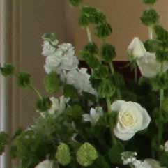 Canon-7D,-50D-và-5D-Mark-II-đọ-ảnh