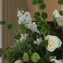 Canon-7D,-50D-và-5D-Mark-II-đọ-ảnh