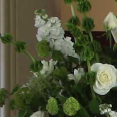 Canon-7D,-50D-và-5D-Mark-II-đọ-ảnh