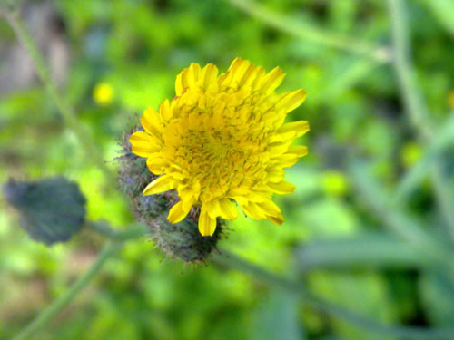 X6:-Dế-cảm-ứng-điện-dung-đầu-tiên-của-Nokia X6:-Dế-cảm-ứng-điện-dung-đầu-tiên-của-Nokia