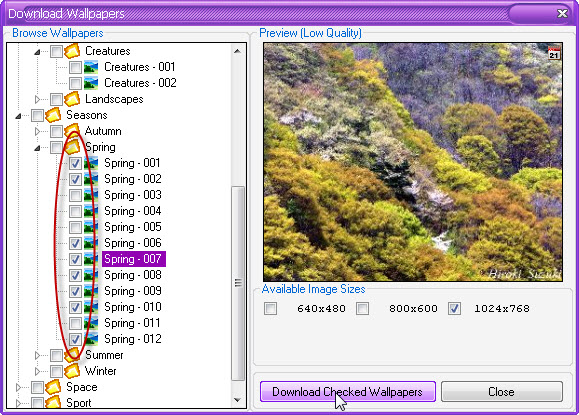 Download-ảnh-và-tự-động-thay-đổi-ảnh-nền