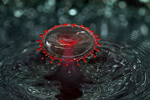 Những-bức-ảnh-có-bokeh-đẹp