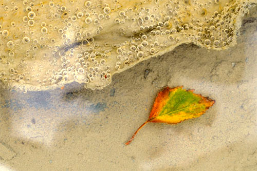 Chụp-ảnh-đẹp-dưới-trời-âm-u