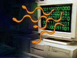 Cảnh-báo-đầu-tiên-về-mã-độc-ẩn-trong-tệp-tin-.zip