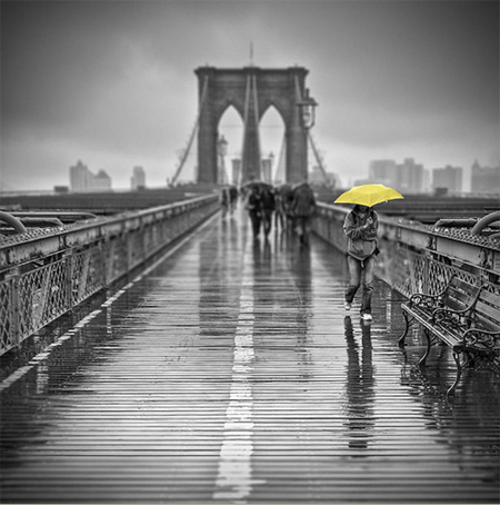 Điểm-nhấn-lôi-cuốn-trong-ảnh-màu-cục-bộ