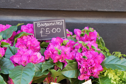 Ảnh-chụp-thử-bằng-Sony-NEX-5