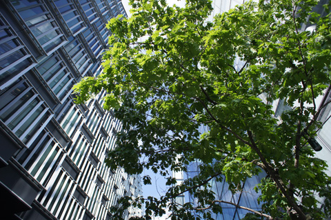 Ảnh-chụp-từ-Sony-NEX-5-và-ống-fix-góc-rộng