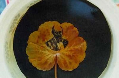 Rửa ảnh trên lá cây