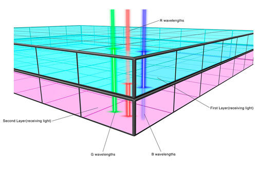 Cảm biến đo sáng iFCL 63 vùng của Canon 550D giúp máy làm việc chuẩn xác trong hầu hết các trường hợp. Ảnh: Dpreview.