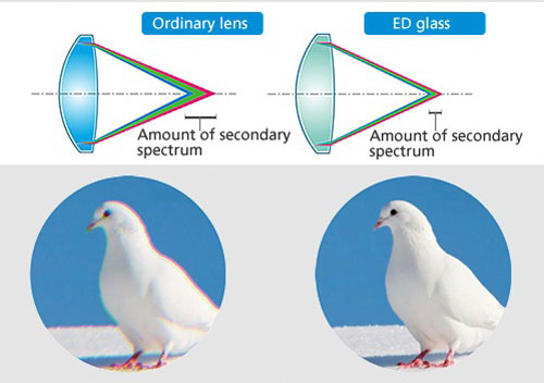 Ống kính máy ảnh cho dân du lịch