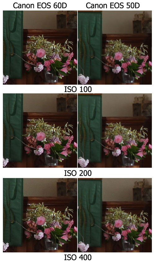 Canon 60D và 50D đọ sức khử nhiễu